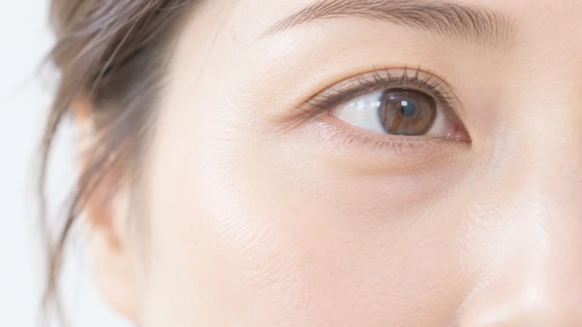 下まぶたから頬の上までの、目の下（イメージ）